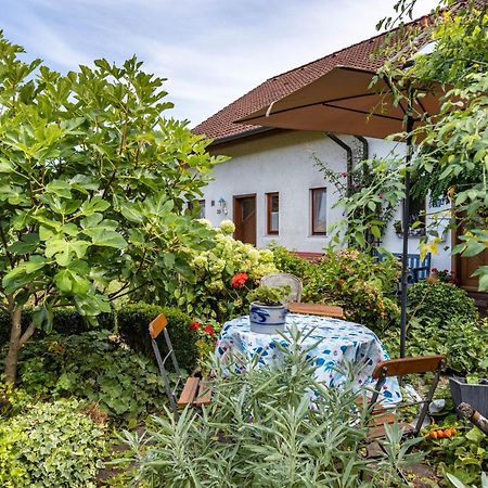 Ferienwohnung Alina Singen Ngoại thất bức ảnh