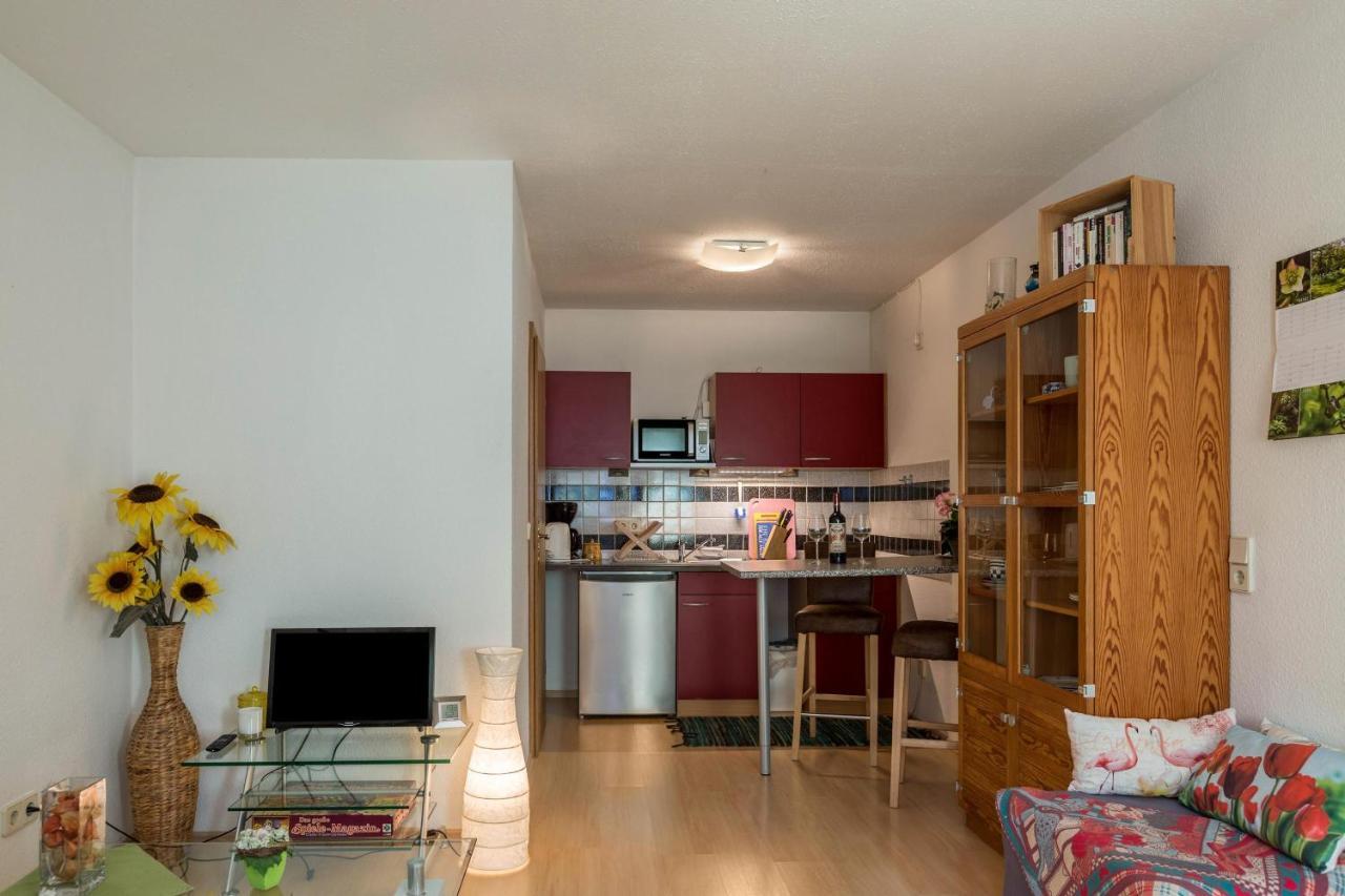 Ferienwohnung Alina Singen Ngoại thất bức ảnh